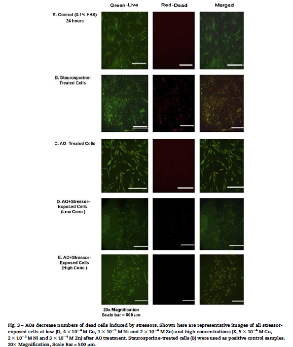 2013 3 aob metal AO fig